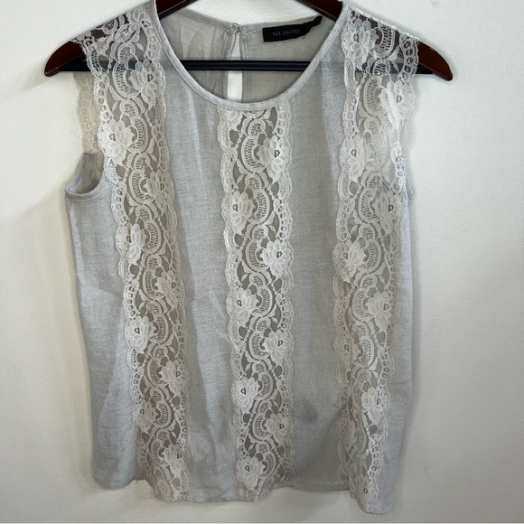 The Limited Sleeveless Blouse Tan cream Sheer Lace Striped top small - Picture 1 of 9